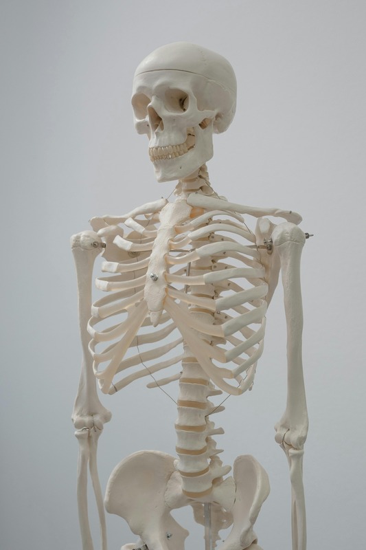 Causes & Management of Musculoskeletal Conditions
